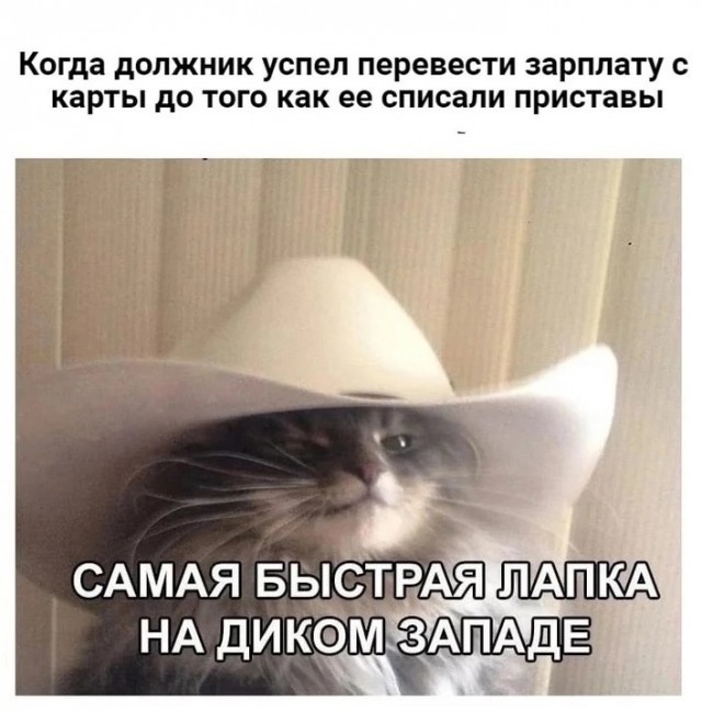 Так себе картинки 02.05.23