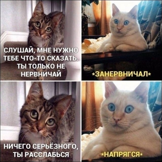 Непонятно⁠⁠