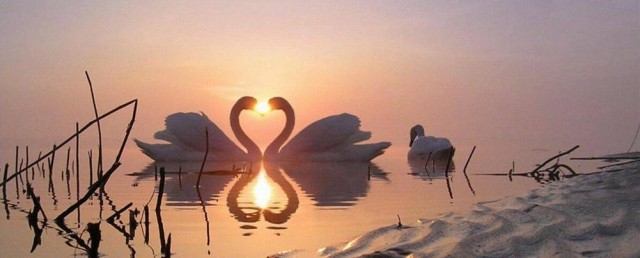 Прикольные и просто красивые картинки 23.06.2023