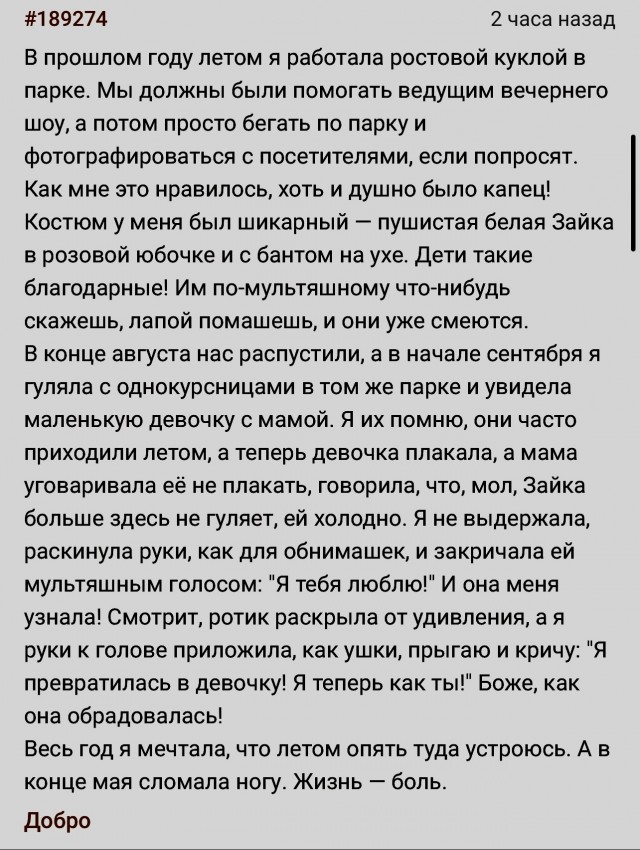 Зайка нашлась