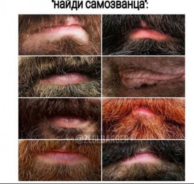 Весёлый полтишок 12.07 23