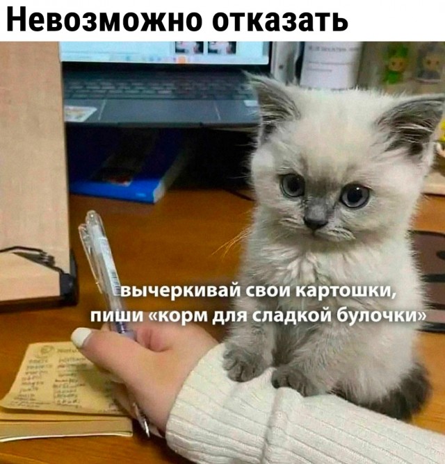 Так себе картинки 02.09.23