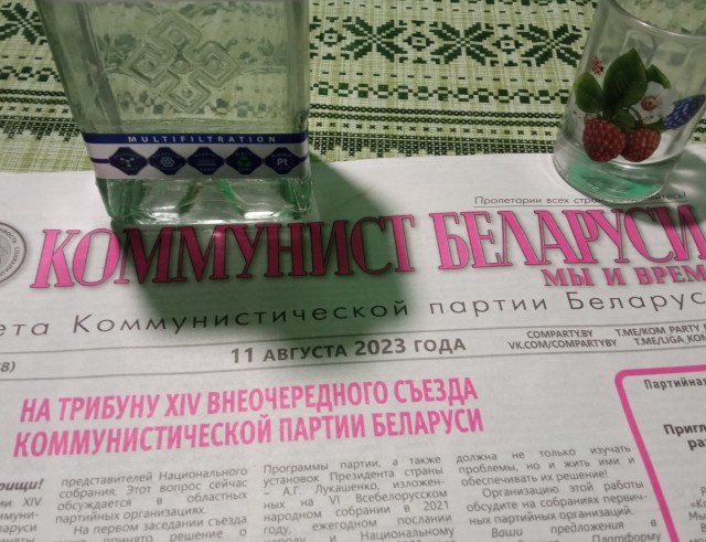 Пьющая красавица: мифы и правда о женском алкоголизме