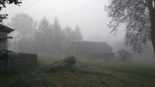 Красивые фото ЯПа