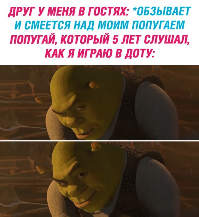 Весёлый полтишок 05.01.24