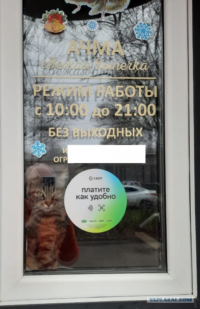 «Приходит, сидит под дверью магазина, грустит»