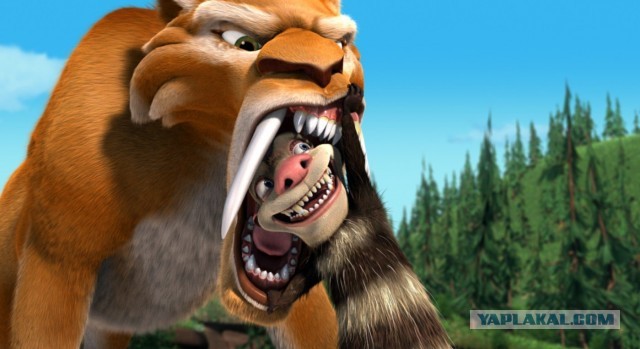 Mustela erminea, Горностай домашний