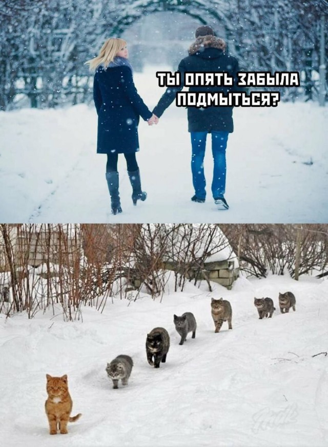 Картинки и видео категории Г