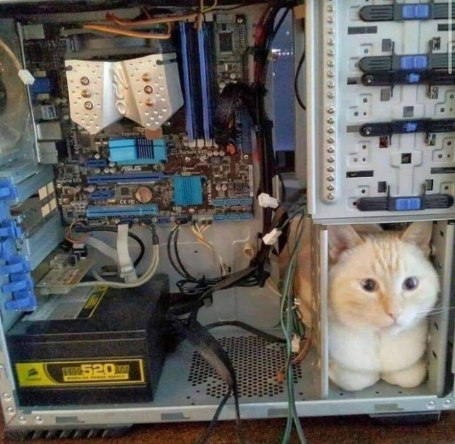 ФотоВинегрет