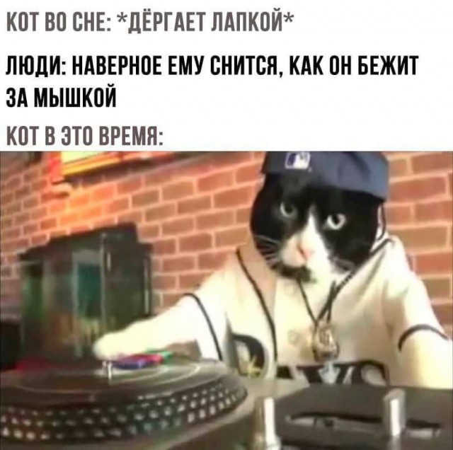 Всего понемногу. От 07.08