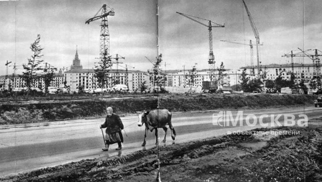 Москва и москвичи. Двадцатый век. 19.08.24
