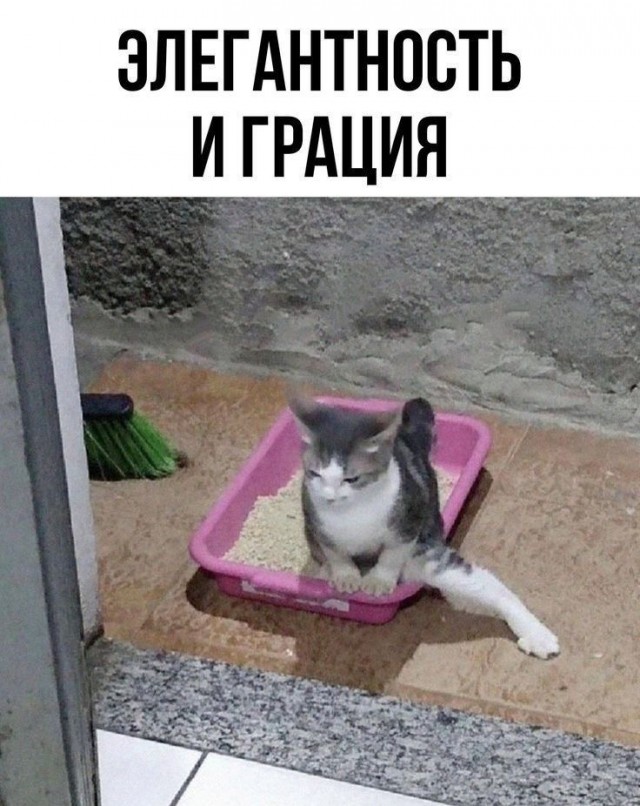 Завалялось тут случайно немного забавных картинок