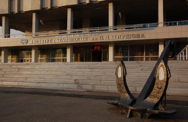 Глубоководный дрон заснял на глубине 3300 метров редчайшего крупноперого кальмара Magnapinna, из подотряда Oegopsina