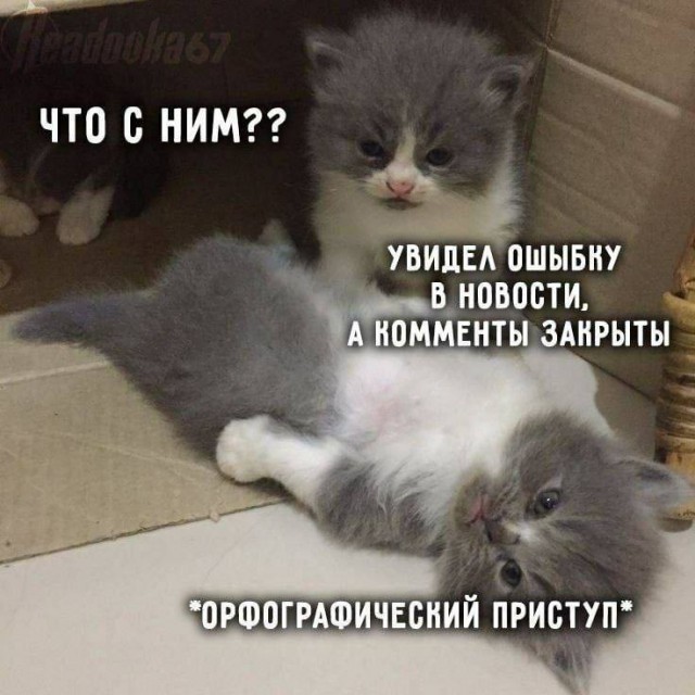 Картинков разных вам..