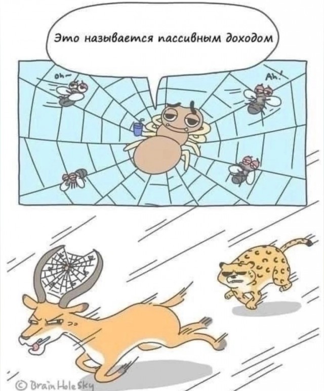 Так себе картинки 26.02.25