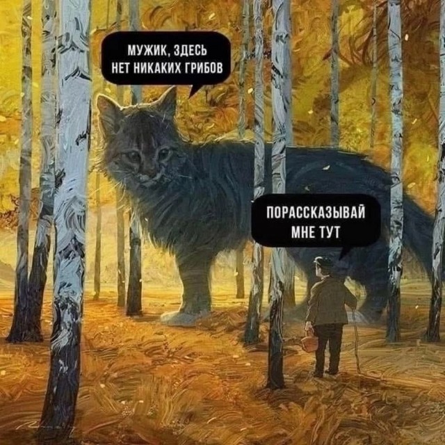 Так себе картинки 15.03.25