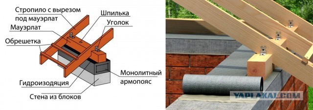 Скупой платит дважды, а тупой постоянно