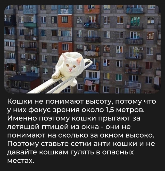 Так себе картинки 13.06.25