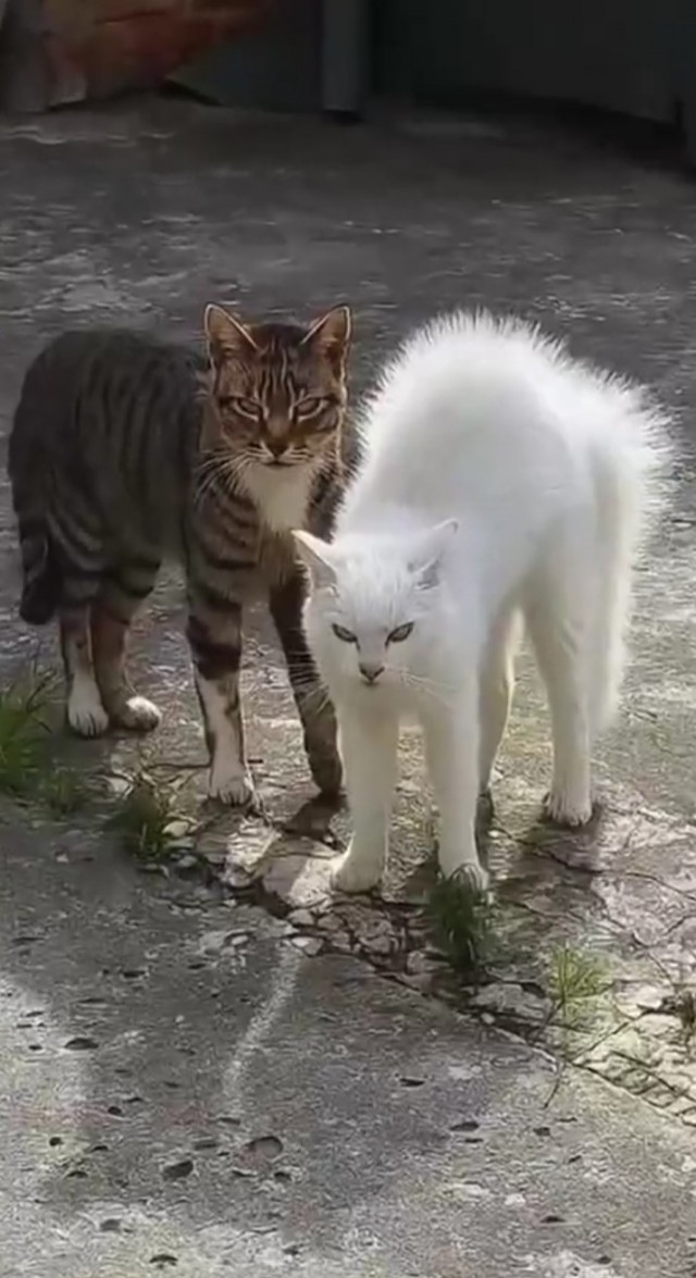 Зашли не в тот район