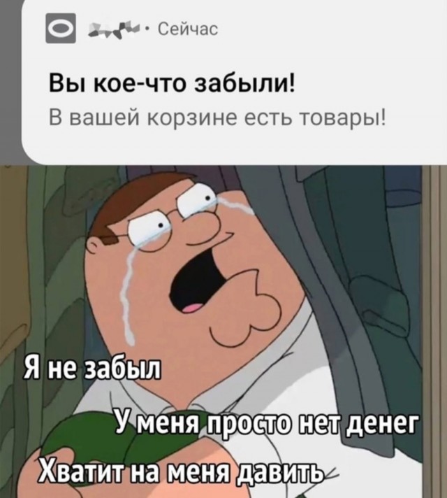 Веселое настроение в картинках (14.07.2025)