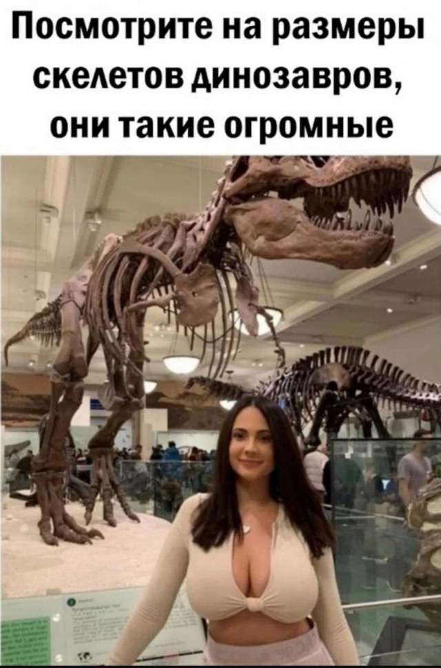 Так себе картинки 19.08.25