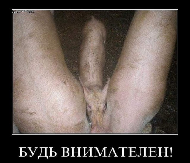 Показалось..