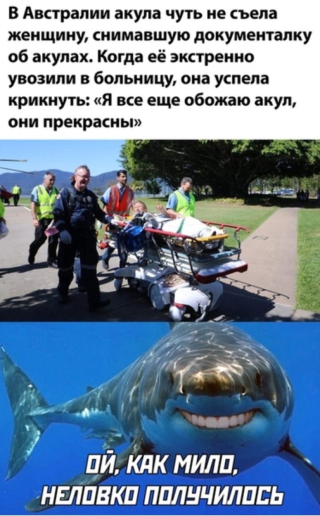 Картинок немного в среду утром
