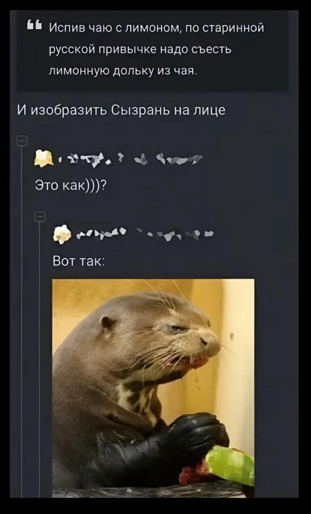 Картинки для деградации 61 (разной степени свежести)