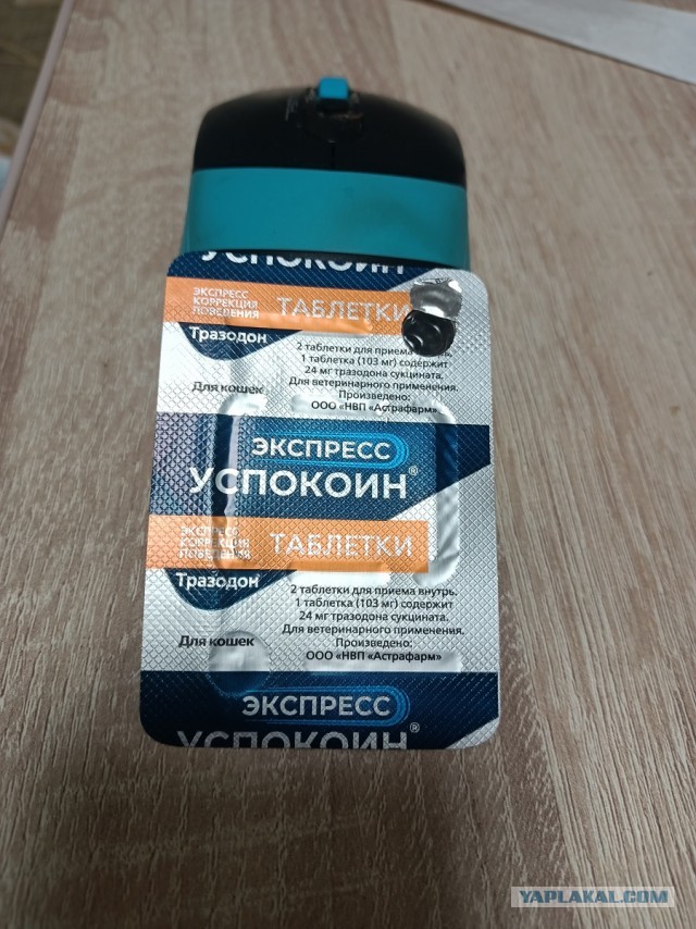 Товарищи
