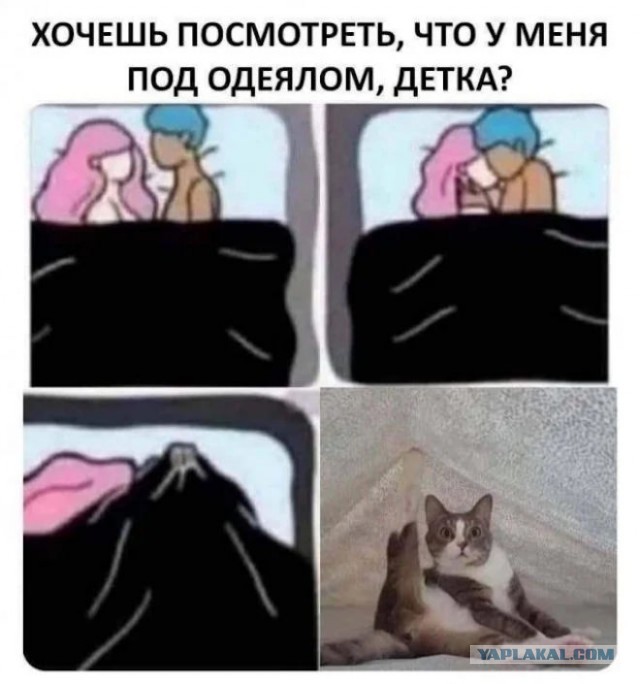 Небаянистая деградация 9