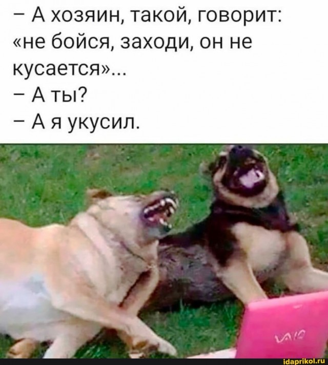 Вот так и теряют веру в людей.
