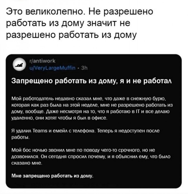 Так себе картинки 07.12.25