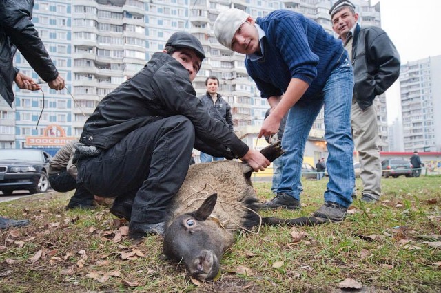 Москвичка возмутилась запретом полицейских на проход по улице до любимой кофейни. Стражи порядка сослались на режим, введенный ради намаза.