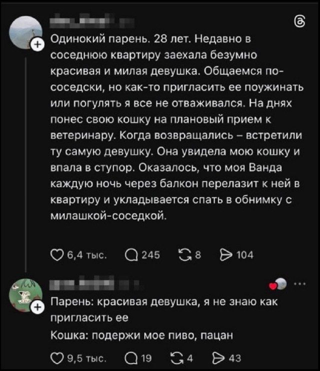 Так себе картинки 24.02.26