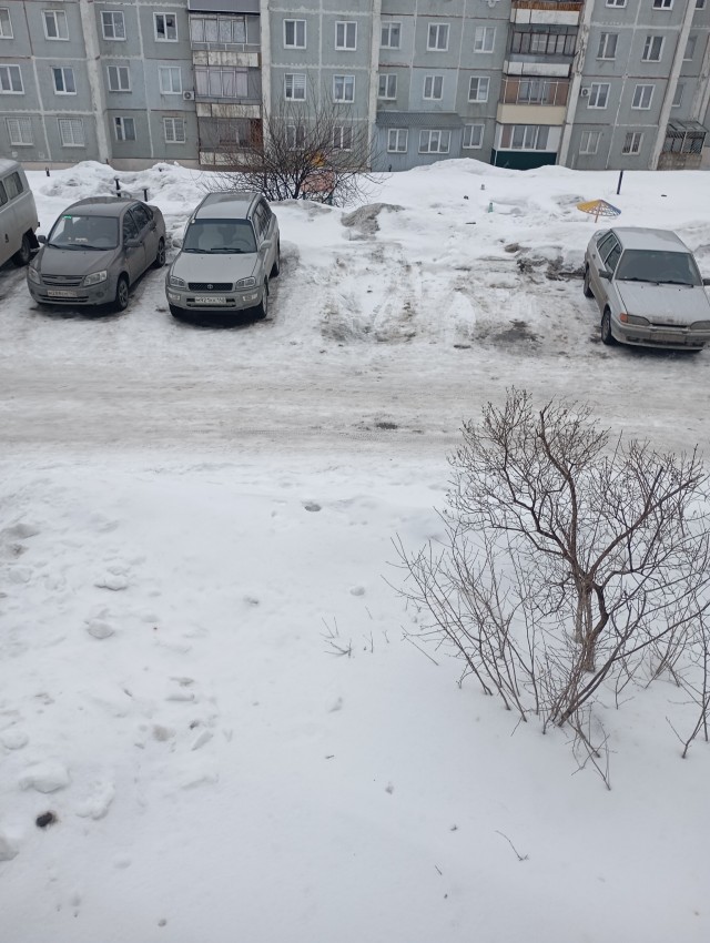 Впали в детство два взрослых мужика