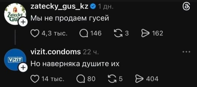 21137893.jpg