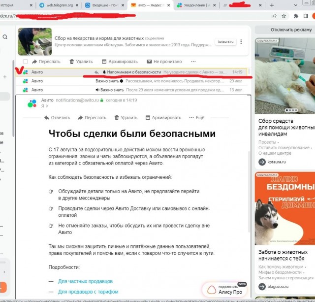 Опять АВИТО загавнилось, давно пора над альтернативами думать, есть чо?