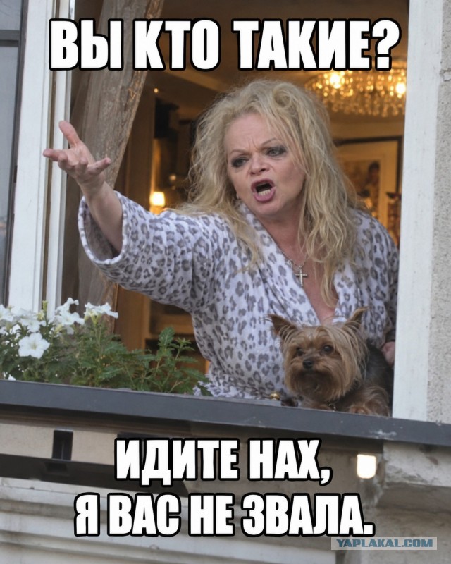 Юристы Долиной изучают мемы про неё