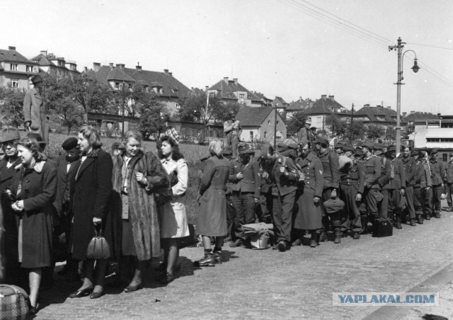 Как чехи немцам мстили. 1945 год