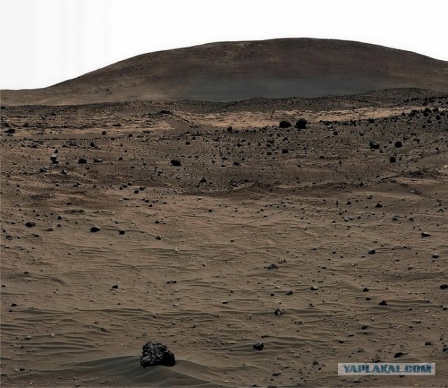 Марсианская черника (15 фото)