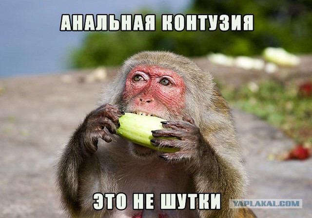 Украинские депутаты выгнали коммунистов