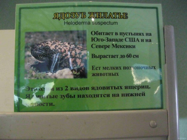 Поход за хорошим настроением