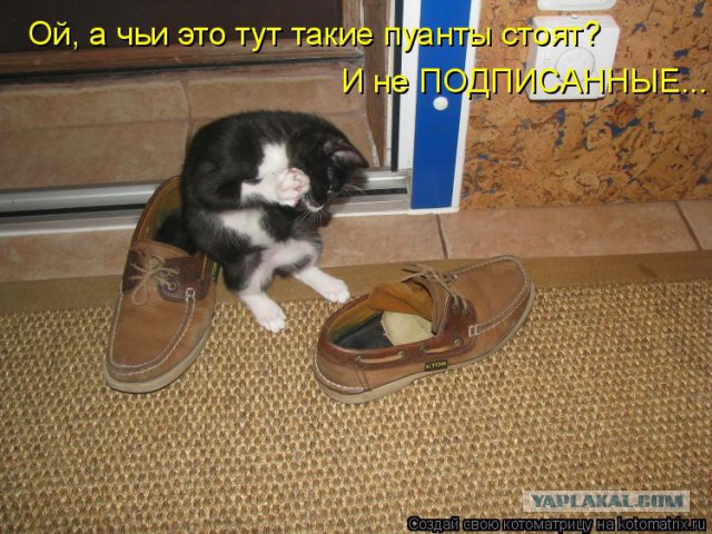 Немного смешных картинок из сети