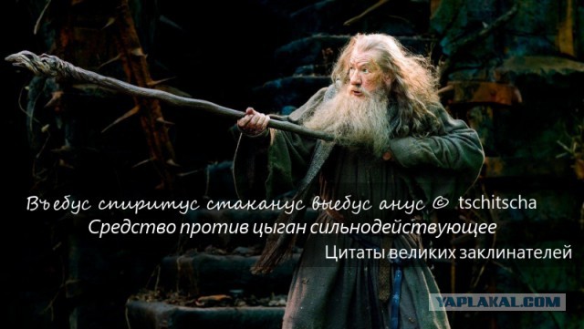 Средство против цыган