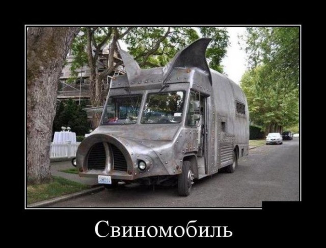 Немного веселых картинок