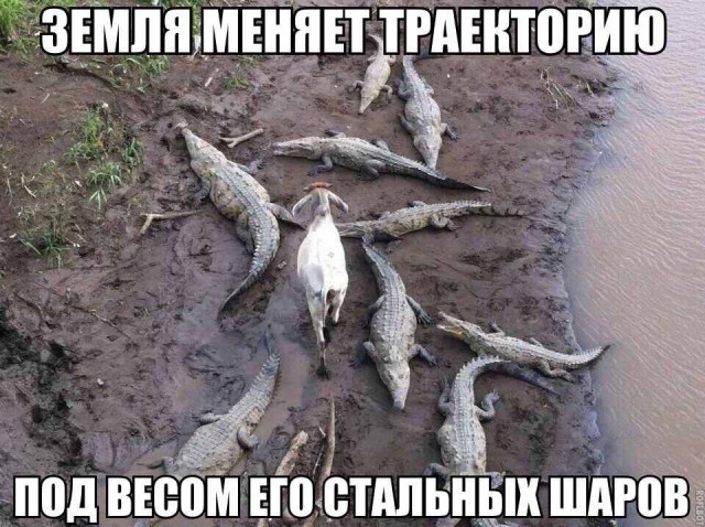 Смешные картинки
