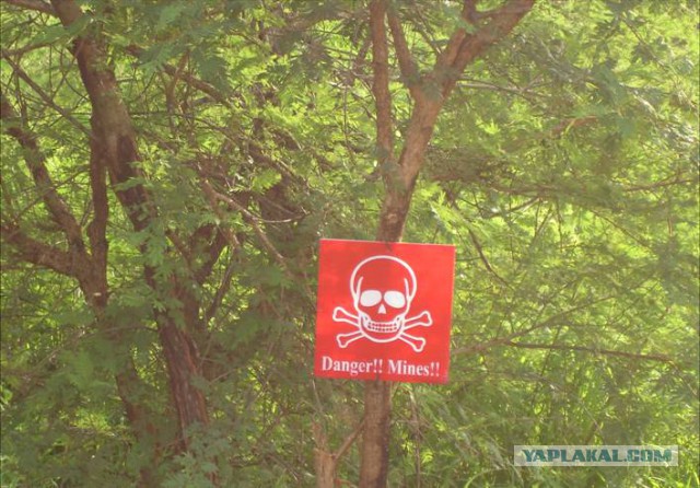 Если будет нужно - я пойду на войну!