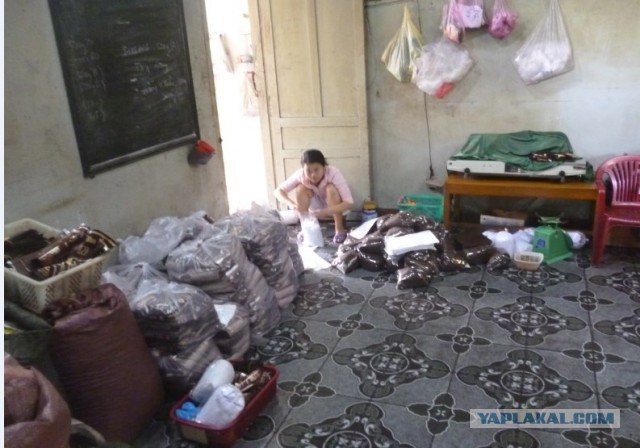 Вьетнамская рублёвка: как живут местные богачи