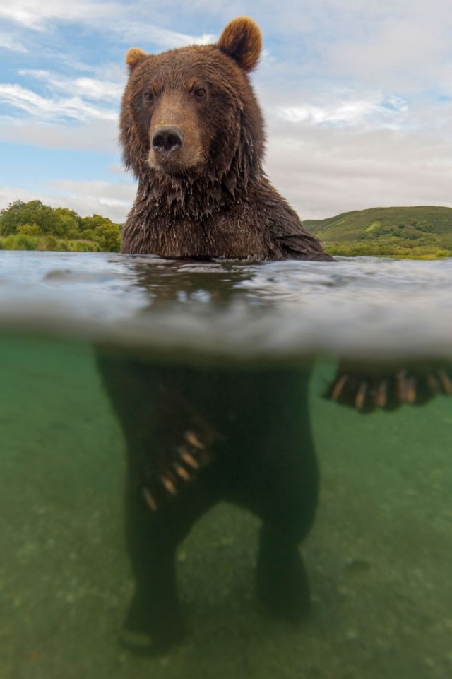 Великолепные фотографии Сергея Горшкова