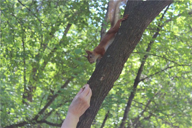 Я узнал, что у меня есть огромная семья